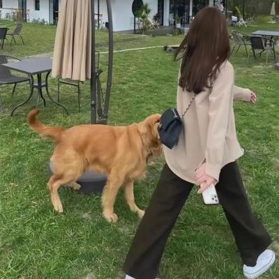 传闻中的女人
